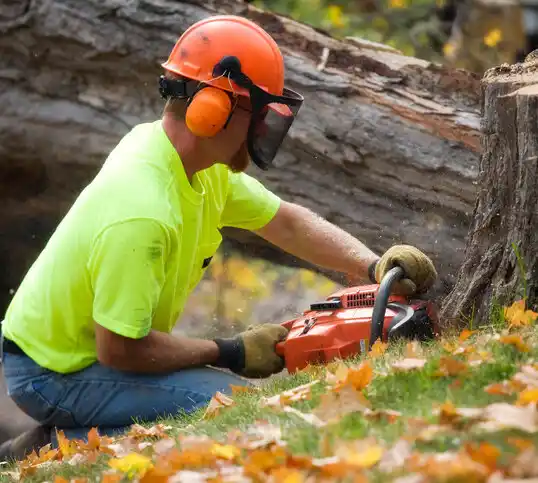 tree services Margaretville